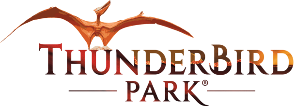 Thunderbird Park
